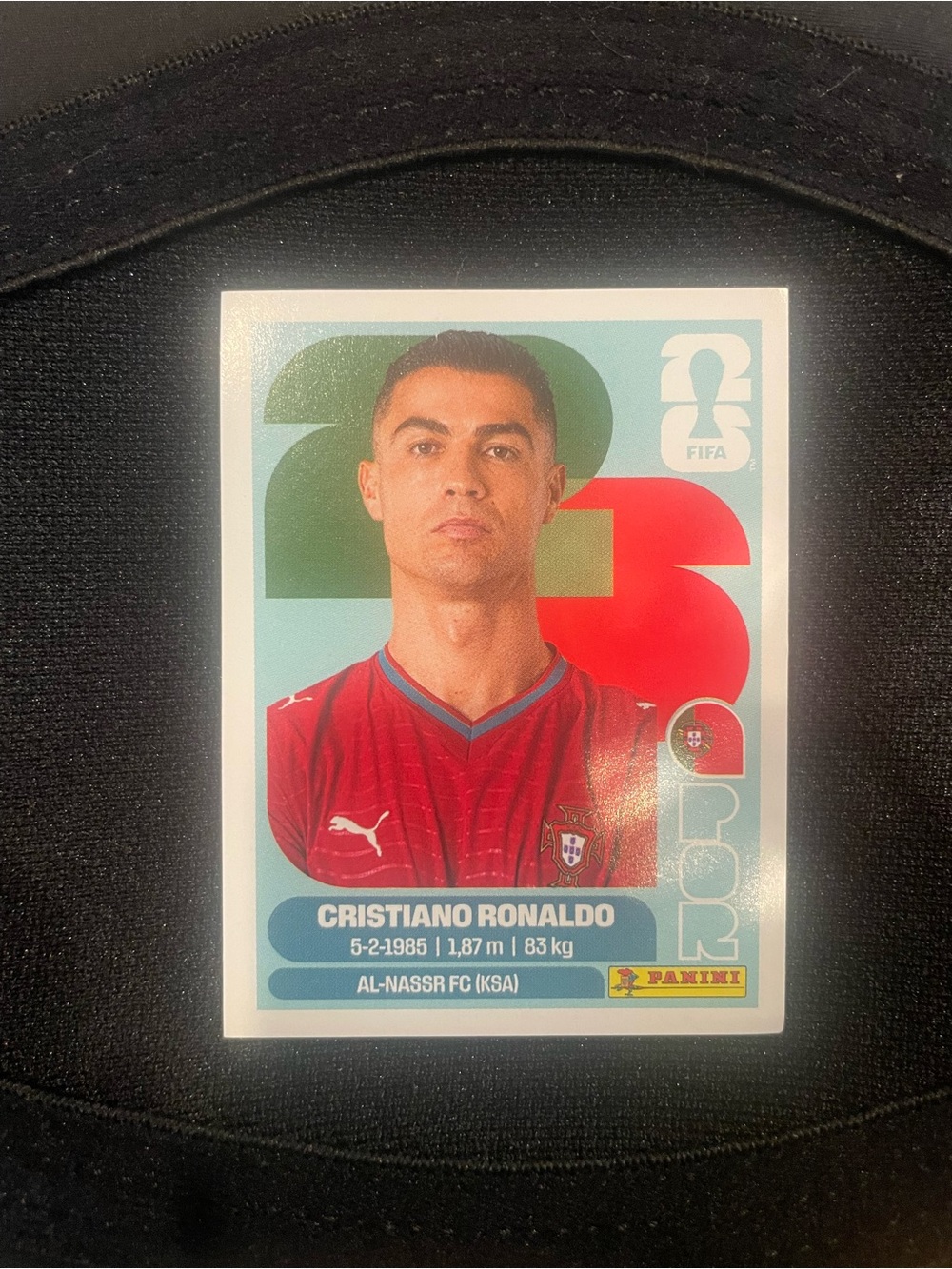 Panini FIFA World Cup 2026 Sticker - Black and White